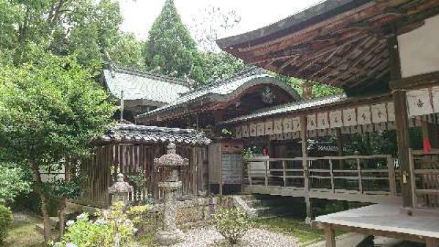滋賀県野洲市野洲69 新川神社の写真1