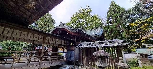 滋賀県野洲市野洲69 新川神社の写真2