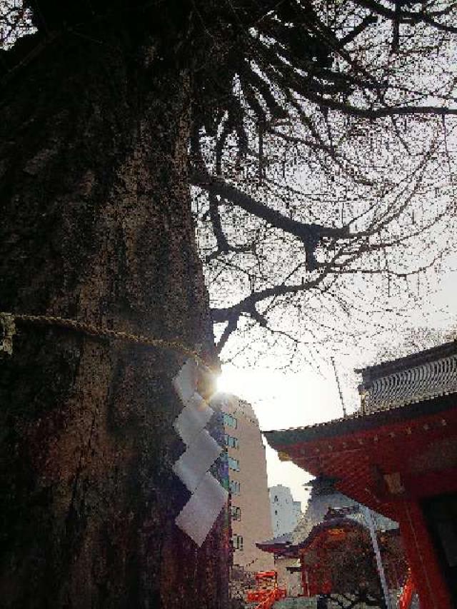 東京都新宿区新宿5-17-2 威徳稲荷神社（花園神社）の写真11