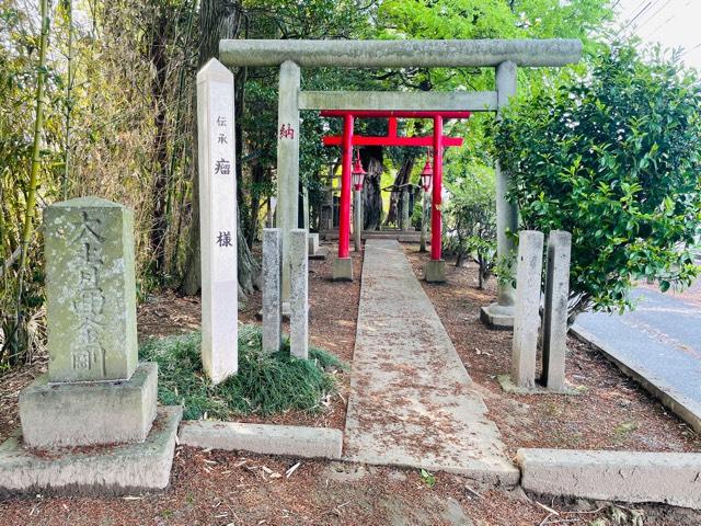 埼玉県加須市南大桑3210-21 瘤神社の写真1
