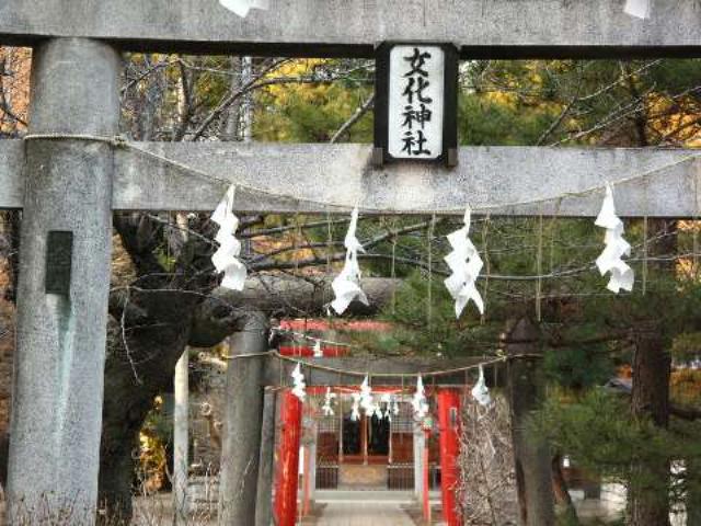 茨城県龍ケ崎市馴馬町5379番地 女化神社の写真1