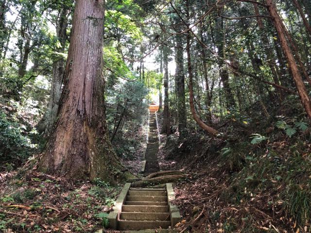 茨城県常陸大宮市長沢１番地 山王神社の写真3