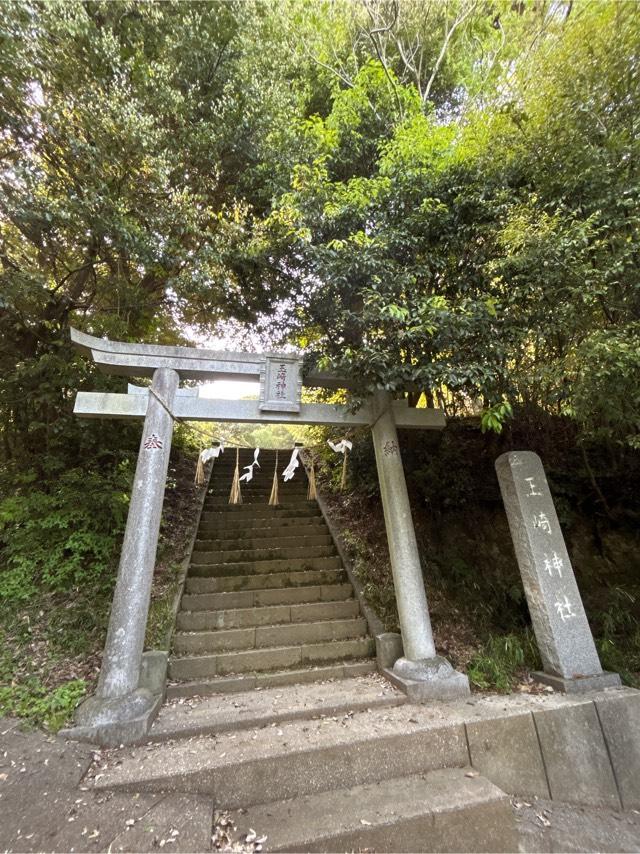 玉崎神社の写真1