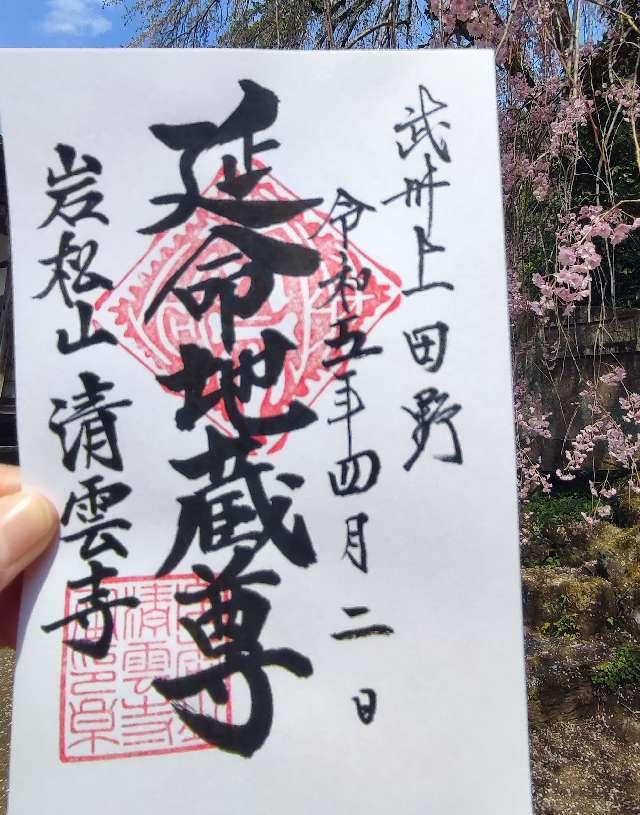 岩松山 清雲寺の御朱印1
