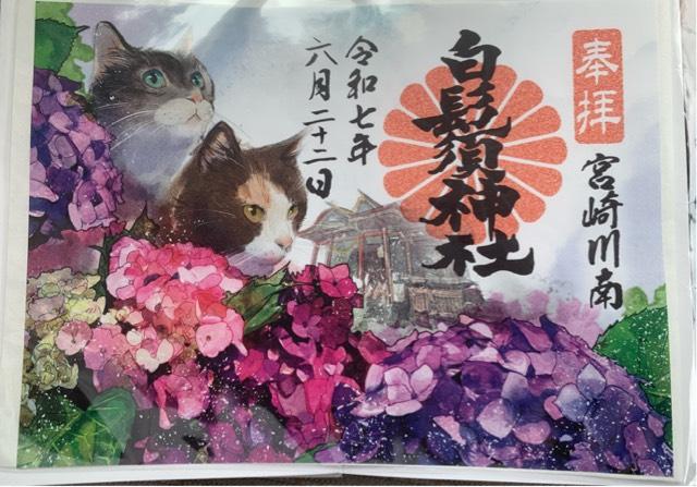 白鬚神社の御朱印6
