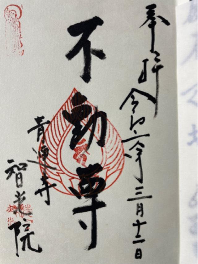 智光院の御朱印1