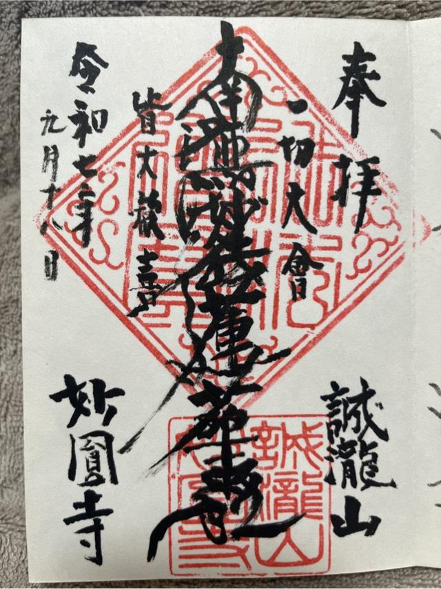 妙円寺の御朱印1