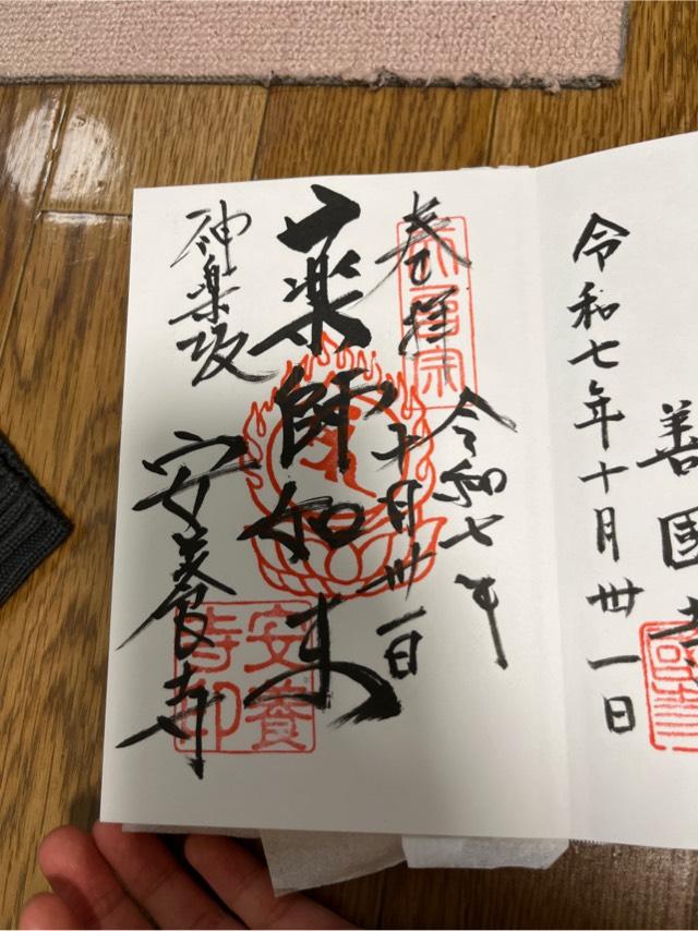 医光山 長寿院 安養寺の御朱印1