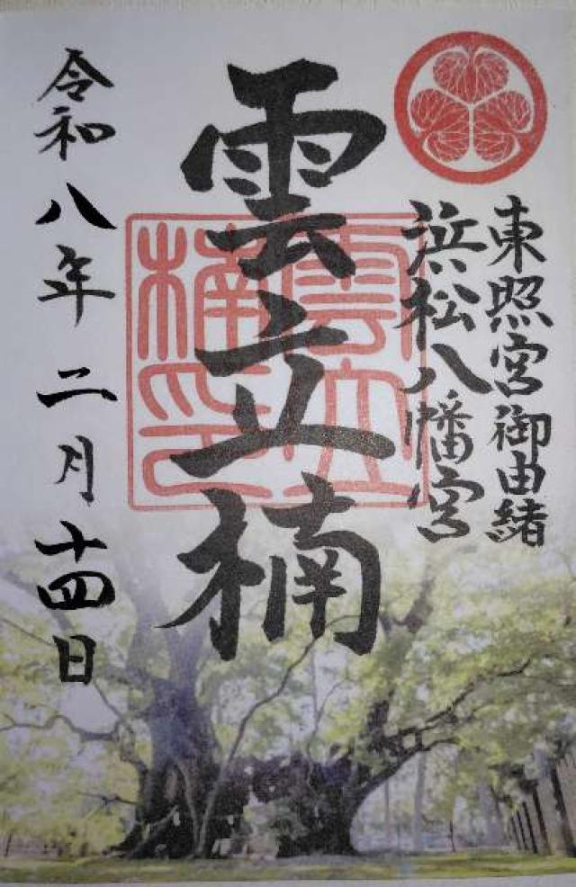 雲立楠（浜松八幡宮御神木）の御朱印1