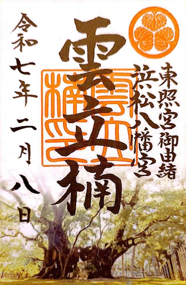 雲立楠（浜松八幡宮御神木）の御朱印1