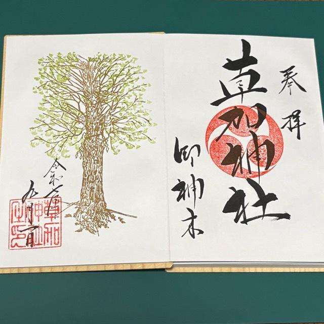草加神社御神木の御朱印1