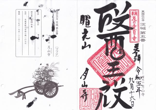 曜光山見明星悟道院月山寺の御朱印5