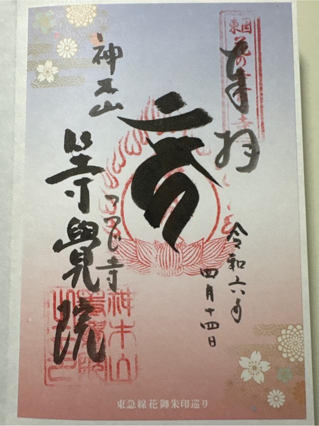 神木山 等覚院 長徳寺の御朱印6
