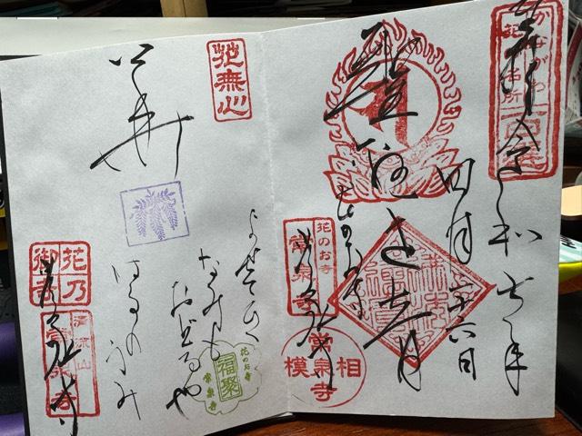 清流山 常泉寺の御朱印1