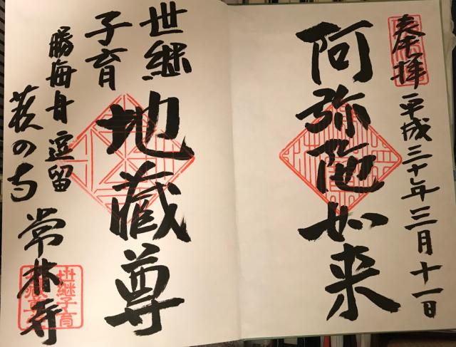 光明山 摂取院 常林寺の御朱印5