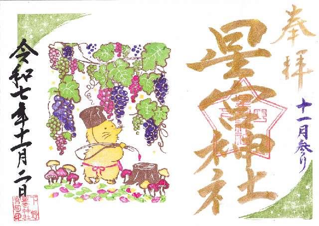 下野星宮神社の御朱印1