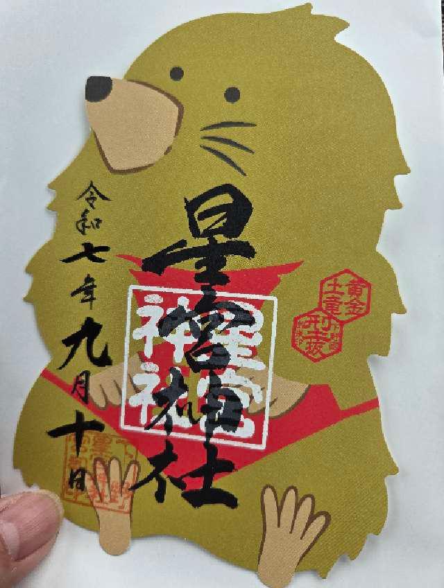 下野星宮神社の御朱印2