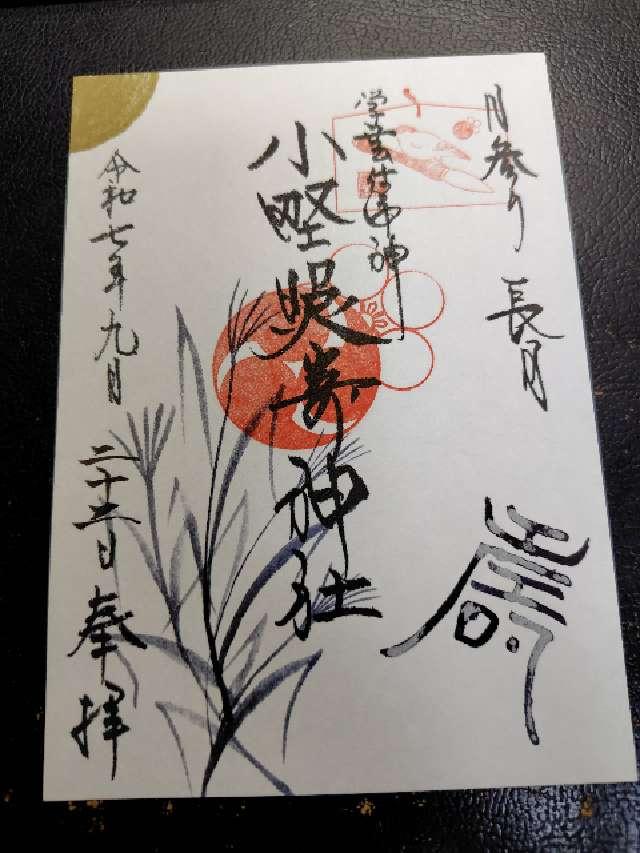 小野照崎神社の御朱印3