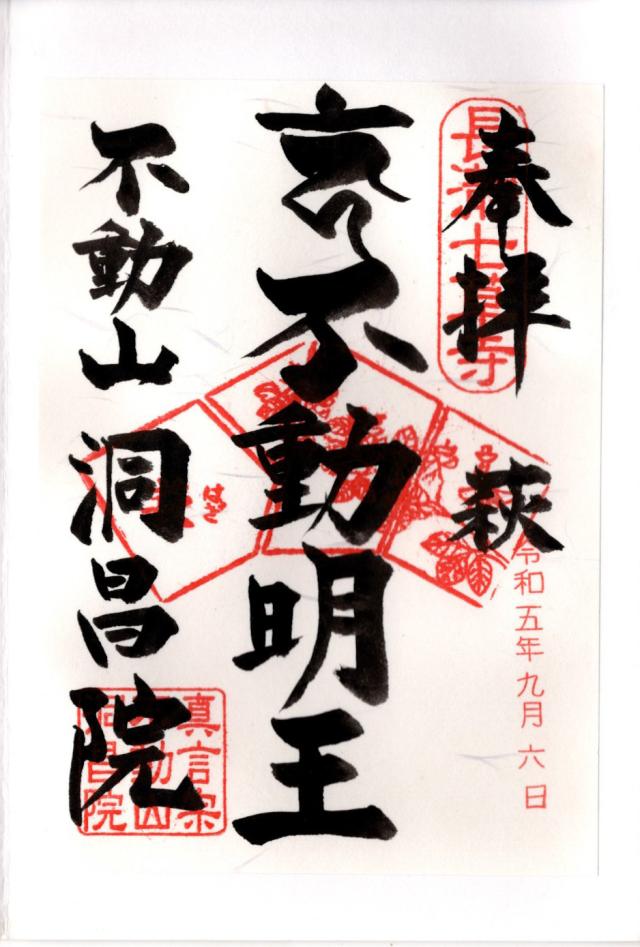 不動山 白山寺 洞昌院の御朱印2