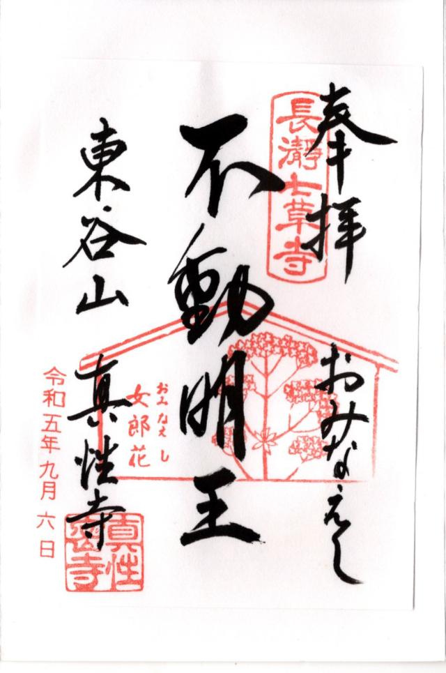 東谷山 真性寺の御朱印1