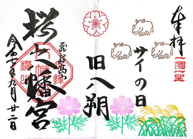櫻山八幡宮の御朱印2