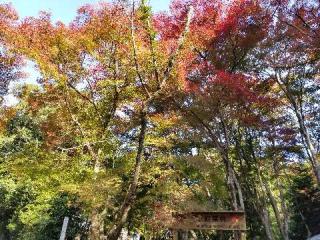 猿投神社の参拝記録(銀玉鉄砲さん)