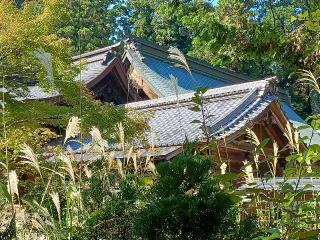 猿投神社の参拝記録(銀玉鉄砲さん)