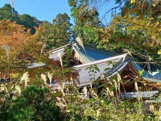 猿投神社の参拝記録(銀玉鉄砲さん)