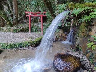 猿投神社の参拝記録(銀玉鉄砲さん)