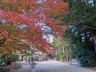 猿投神社の参拝記録(銀玉鉄砲さん)