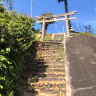 春日神社の参拝記録(ワヲンさん)