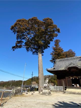 六所神社（下宮）の参拝記録(二代目無宿さん)