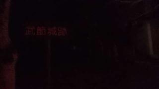 八幡神社の参拝記録(SFUKUさん)