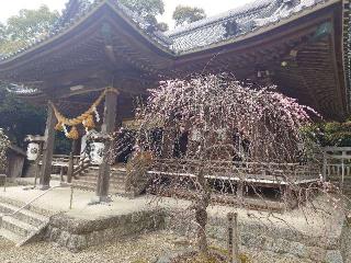 老津神社の参拝記録(しゅうさん)