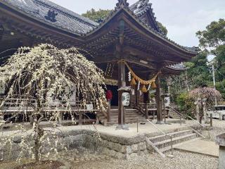 老津神社の参拝記録(ゆりかさん)