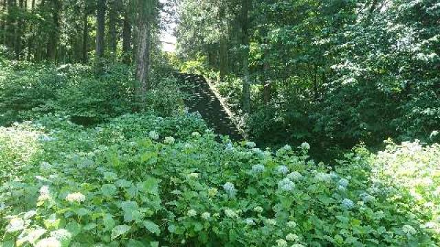 群馬県利根郡みなかみ町須川98 泉峰山 泰寧寺の写真3