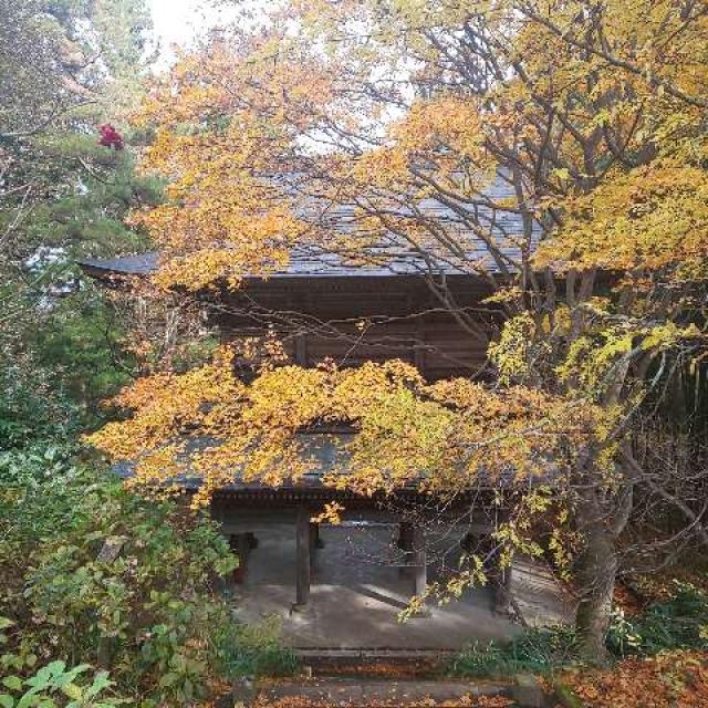 群馬県利根郡みなかみ町須川98 泉峰山 泰寧寺の写真6