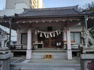 白山比咩神社の参拝記録(たまりんさん)