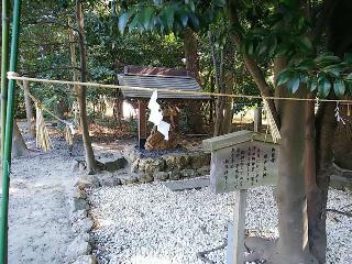 小池神社の参拝記録(みどりさん)