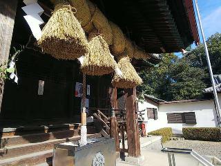 小池神社の参拝記録(みどりさん)