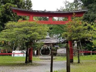賀茂神社の参拝記録(銀玉鉄砲さん)