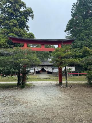賀茂神社の参拝記録(チップさん)