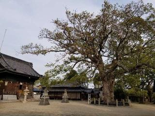 羽利神社の参拝記録(銀玉鉄砲さん)