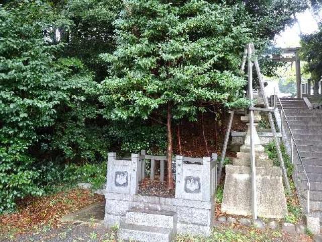 愛知県半田市宮本町4-106-8 成石神社の写真5