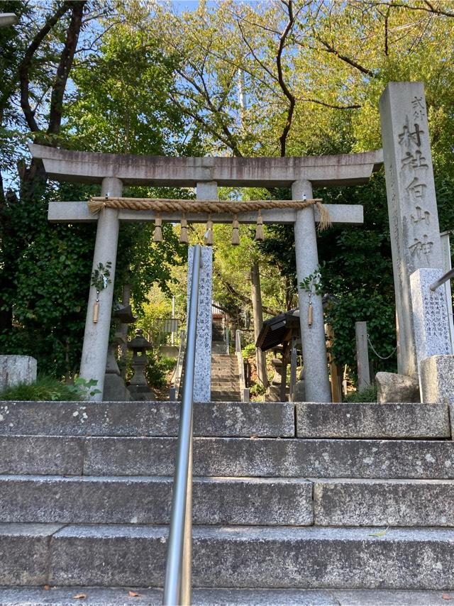 白山社（成岩白山神社）の参拝記録5