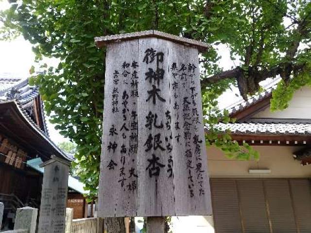 愛知県碧南市大浜上町1-2 熊野神社（上の宮熊野神社）の写真13
