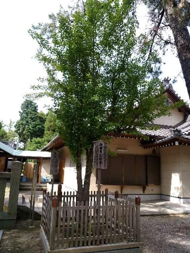 愛知県碧南市大浜上町1-2 熊野神社（上の宮熊野神社）の写真14