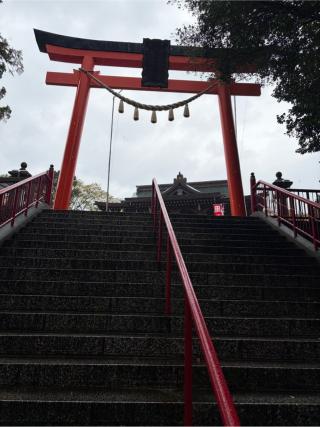 五社稲荷社の参拝記録(こーちんさん)