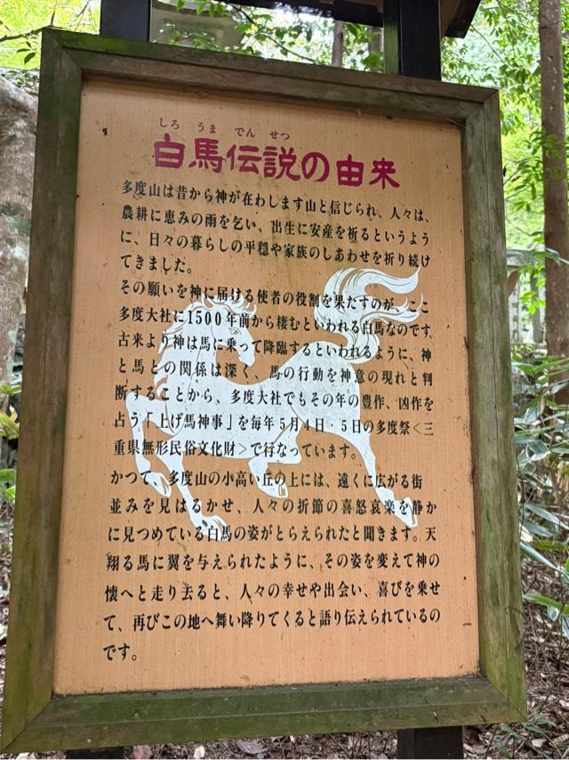 三重県桑名市多度町多度1681番地 多度大社の写真12