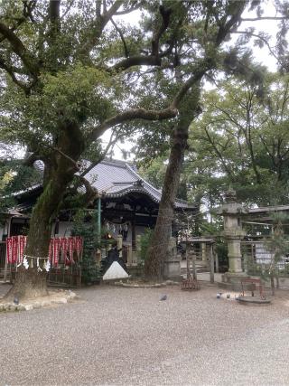 立坂神社の参拝記録(すし吉さん)